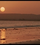 immconscaps-01470.jpg