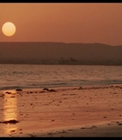 immconscaps-01471.jpg