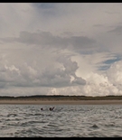 Filename=sitsunscaps-00742.jpg
Filesize=269KiB
Dimensions=1550x1000
Date added=Jun 01, 2025 sitsunscaps-00742.jpg