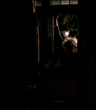 Filename=Maurice-0200.jpg
Filesize=56KiB
Dimensions=1020x576
Date added=Jan 23, 2025 Maurice-0200.jpg