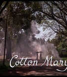 Filename=cottonmscaps-00002.jpg
Filesize=398KiB
Dimensions=1550x1000
Date added=Mar 02, 2025 cottonmscaps-00002.jpg