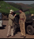 cottonmscaps-00240.jpg