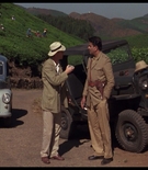 cottonmscaps-00241.jpg