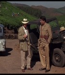 cottonmscaps-00243.jpg