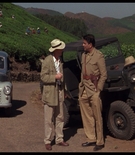 cottonmscaps-00244.jpg