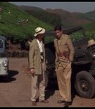 cottonmscaps-00245.jpg