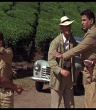 cottonmscaps-00255.jpg