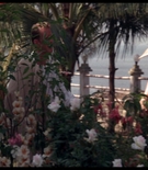 cottonmscaps-00436.jpg