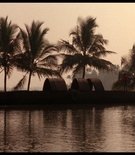 cottonmscaps-00460.jpg