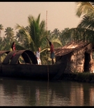 cottonmscaps-00476.jpg