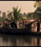 cottonmscaps-00477.jpg