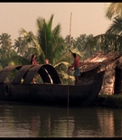 cottonmscaps-00478.jpg