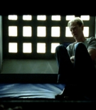 swcaps-00553.jpg