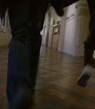 Filename=lewisdvdbtscaps-00190.jpg
Filesize=256KiB
Dimensions=1550x1000
Date added=Dec 31, 2024 lewisdvdbtscaps-00190.jpg