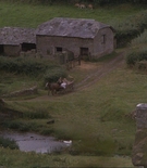 asscaps-01001.jpg