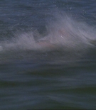 asscaps-01253.jpg