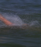 asscaps-01254.jpg