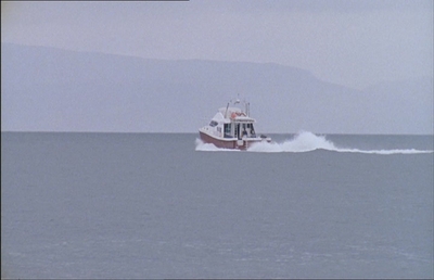arwtcaps618404.jpg