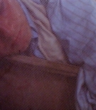 Filename=AHODcaps-00003.jpg
Filesize=320KiB
Dimensions=1550x1000
Date added=Jan 19, 2025 AHODcaps-00003.jpg