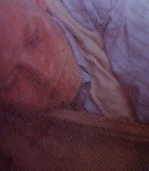 Filename=AHODcaps-00004.jpg
Filesize=326KiB
Dimensions=1550x1000
Date added=Jan 19, 2025 AHODcaps-00004.jpg