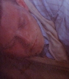 Filename=AHODcaps-00005.jpg
Filesize=324KiB
Dimensions=1550x1000
Date added=Jan 19, 2025 AHODcaps-00005.jpg